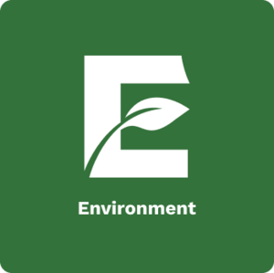 Sustainable European Pet Food Manufacturing Facility